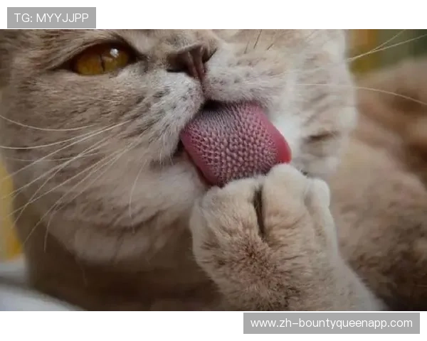 通过PG娱乐手机网址轻松畅玩各种热门游戏，享受高品质娱乐体验不断创新